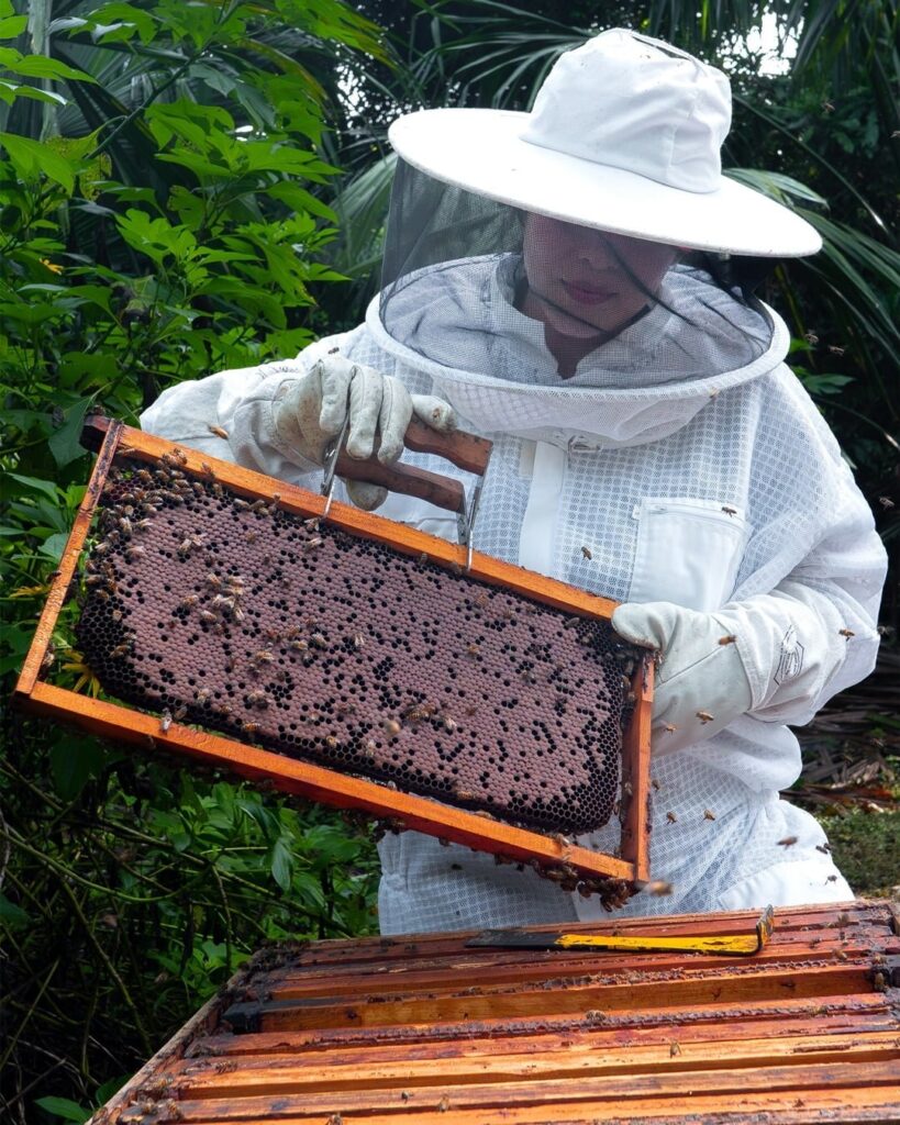 Donativos Ambientales Ford
