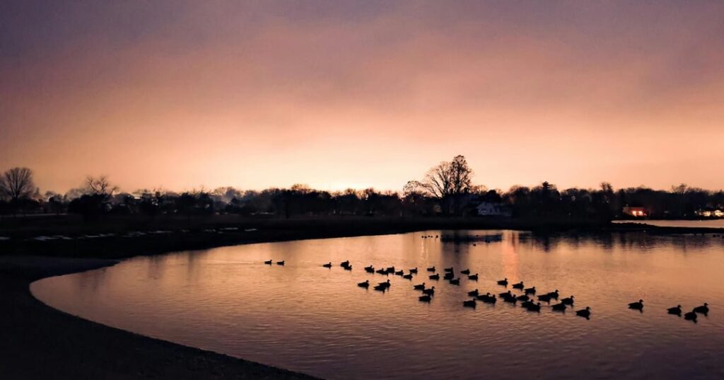 Día Mundial de las aves migratorias
