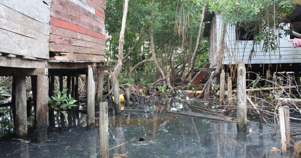 Desplazamientos climáticos