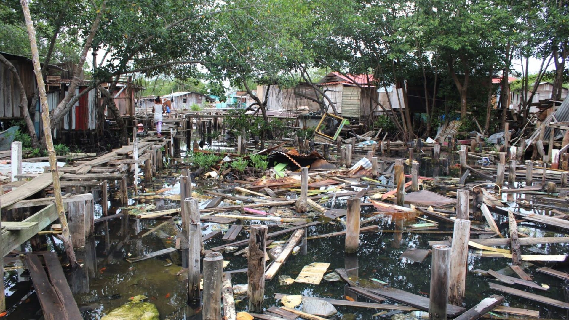 Desplazamientos climáticos