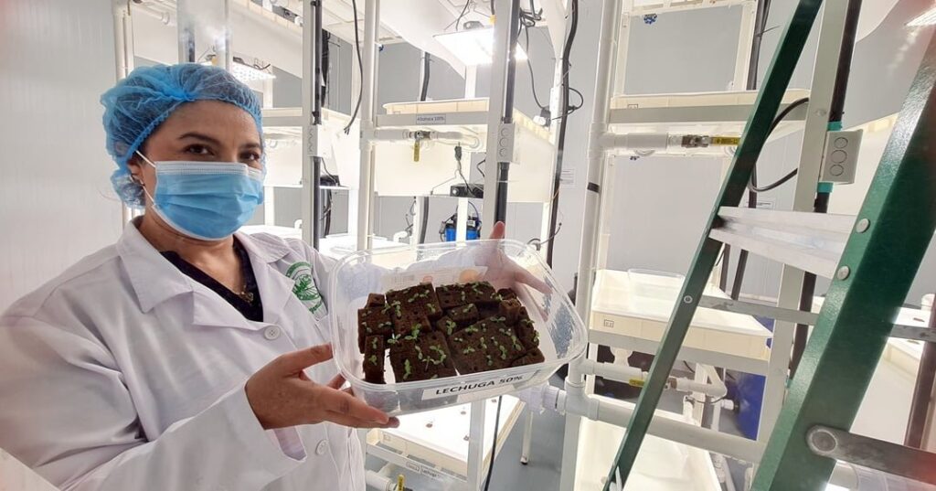 agricultura vertical