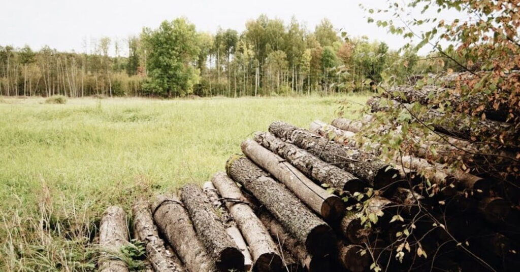 responsabilidad social empresarial