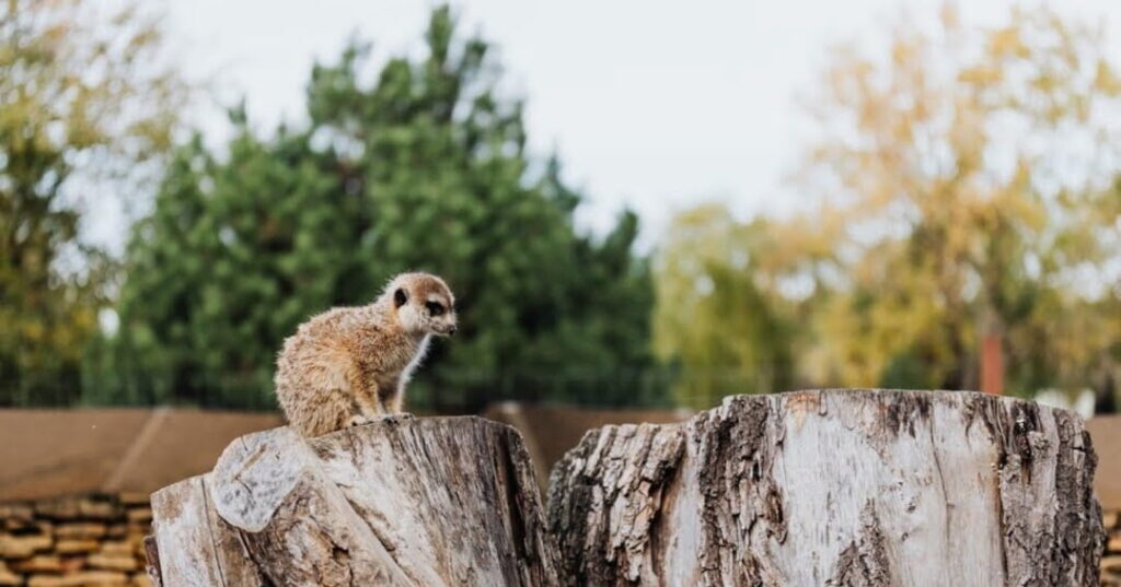 responsabilidad social empresarial