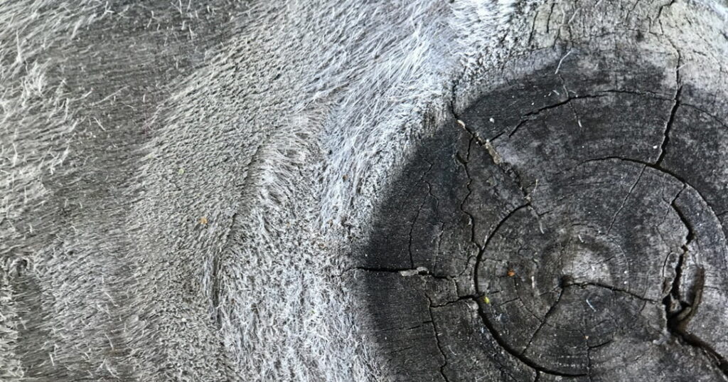 responsabilidad social empresarial