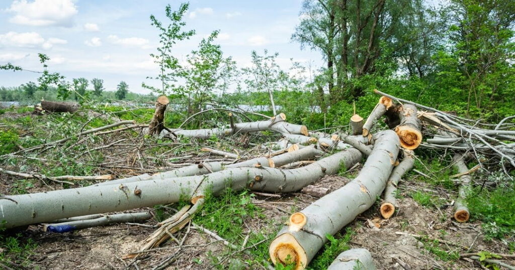 responsabilidad social empresarial