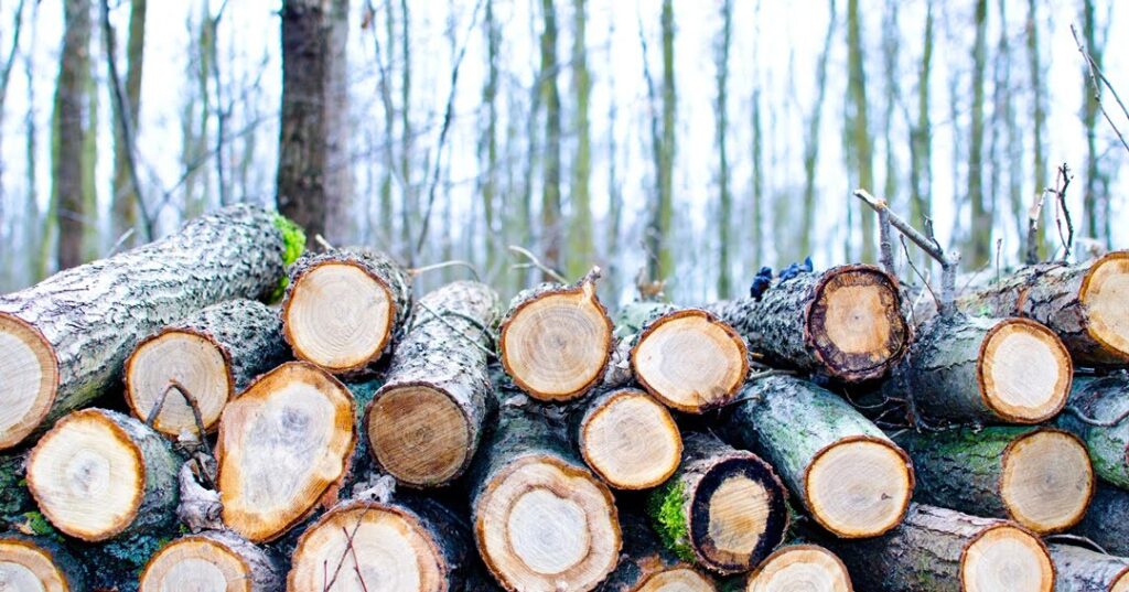 responsabilidad social empresarial