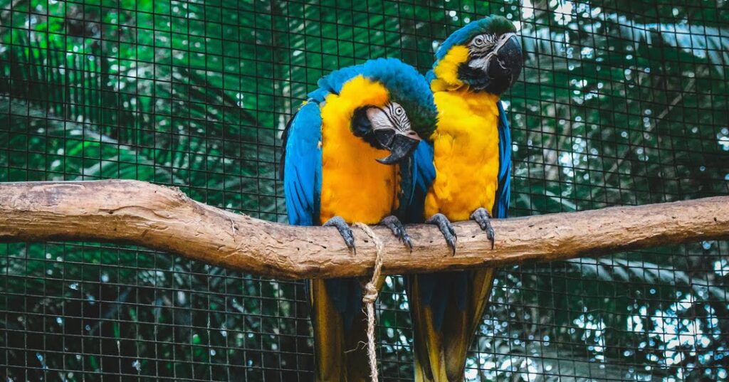 Zoológicos en Costa Rica