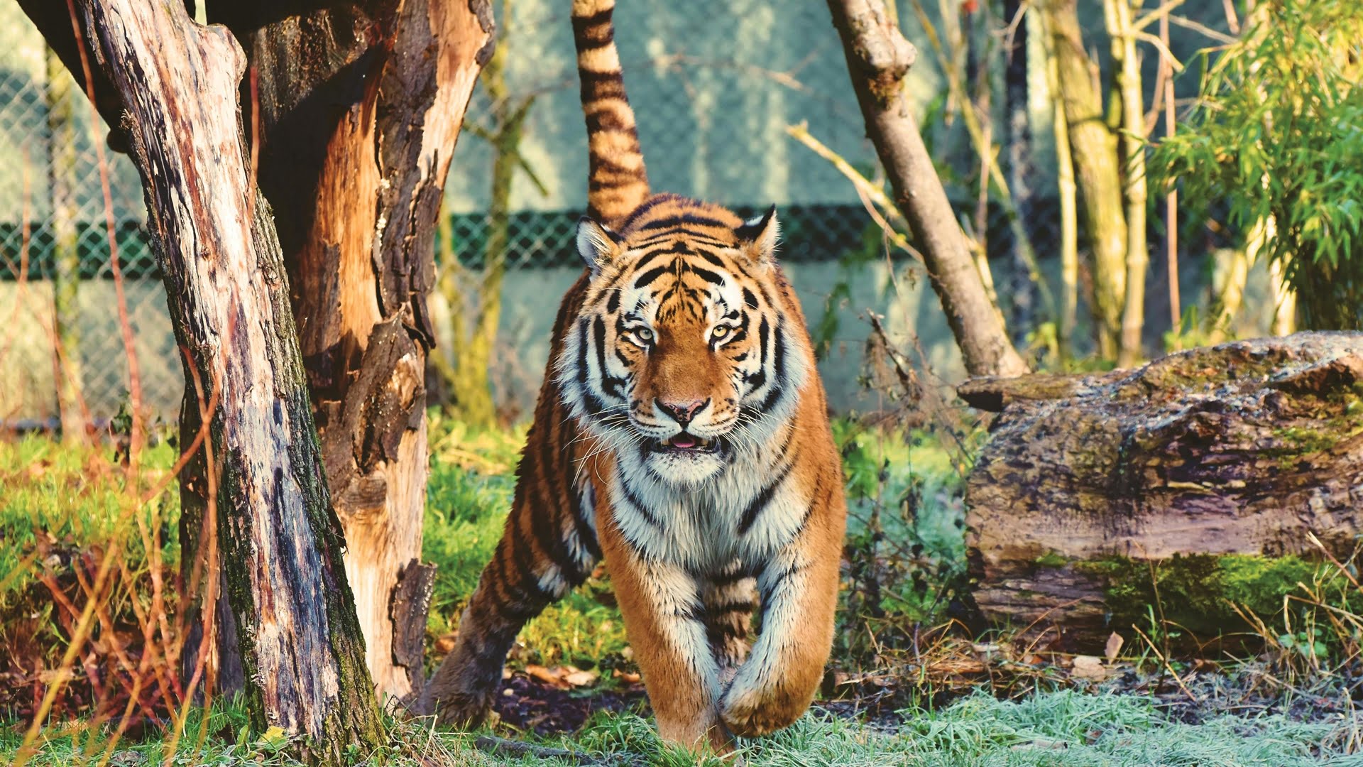 Zoológicos en Costa Rica