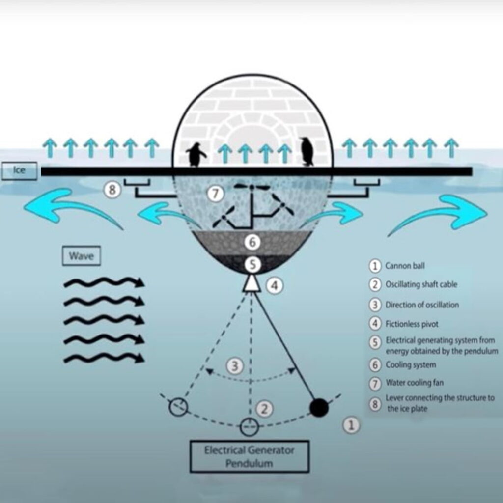 pingüinos emperador