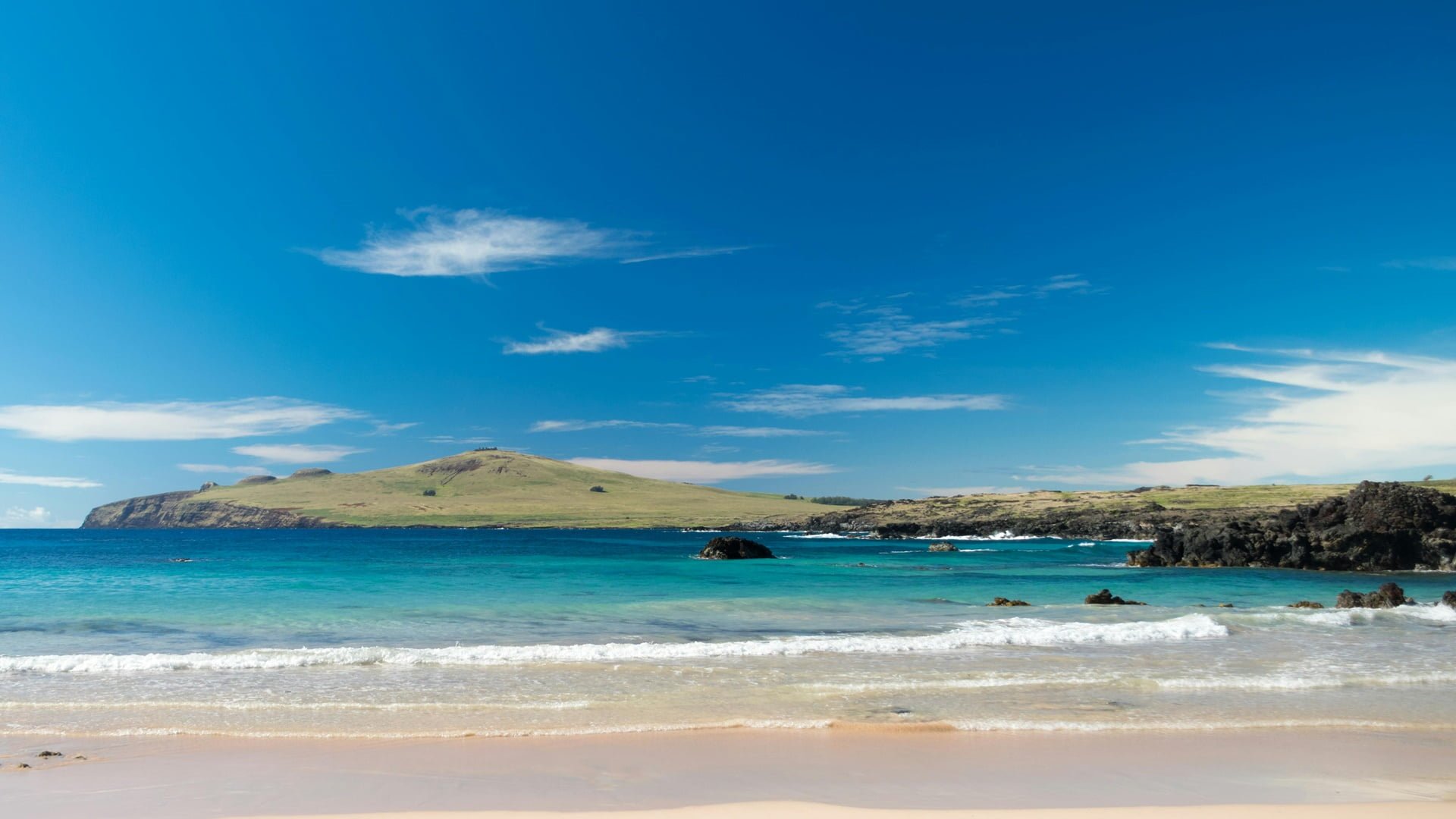 toromiros de la isla de Pascua