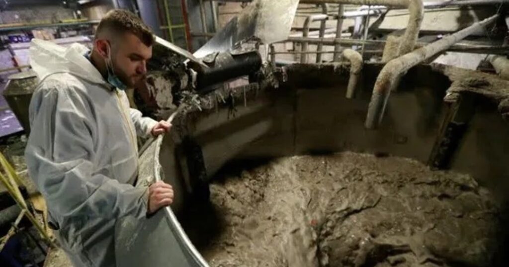 Bolsas biodegradables