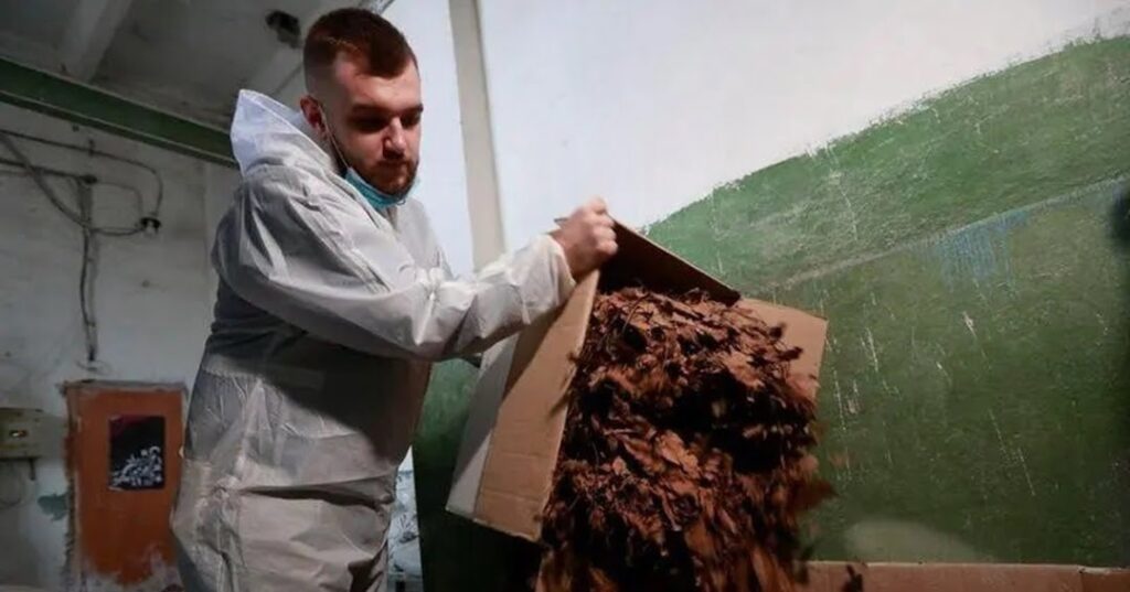 Bolsas biodegradables