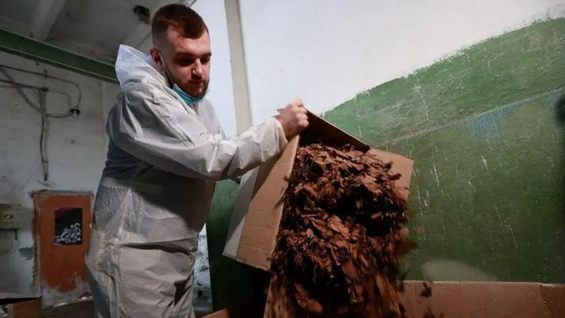 Bolsas biodegradables