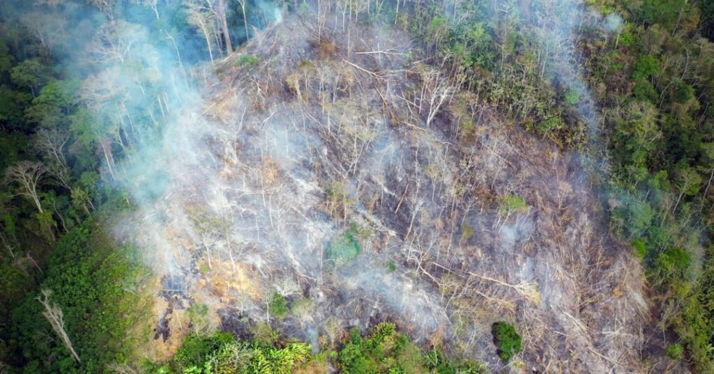 deforestación en Darién