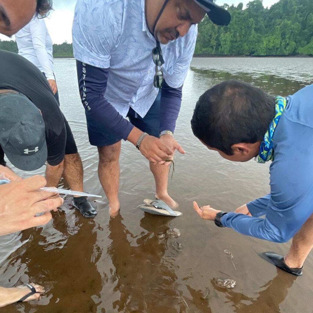 Estuarios y Manglares