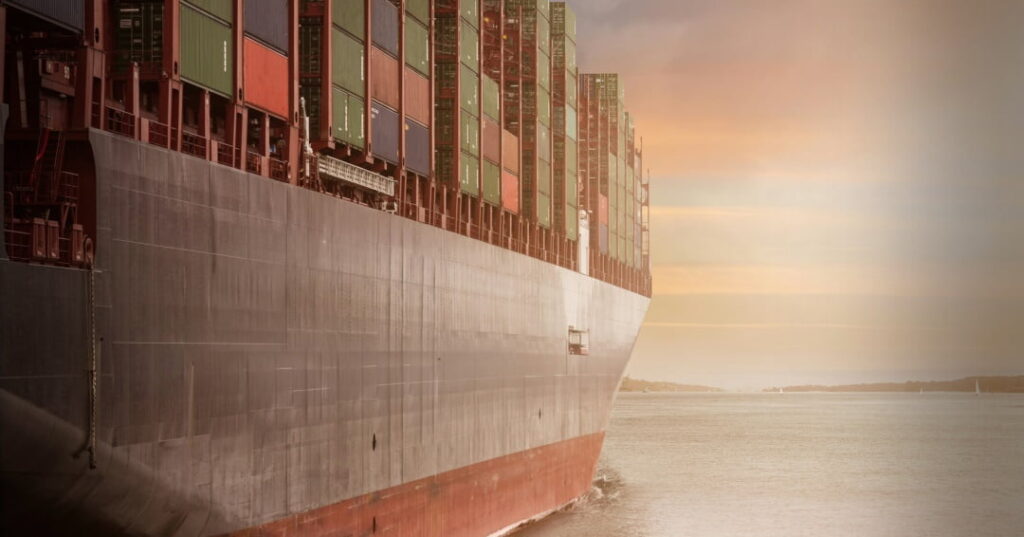 Plástico y el caucho