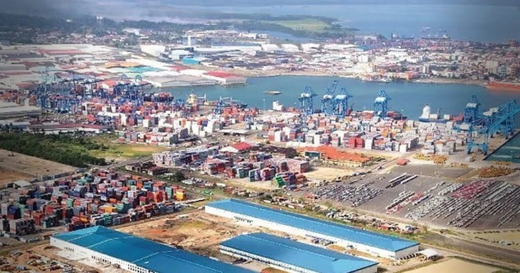 Plástico y el caucho