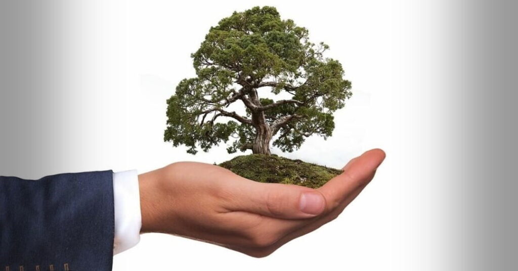 RSE en los productos