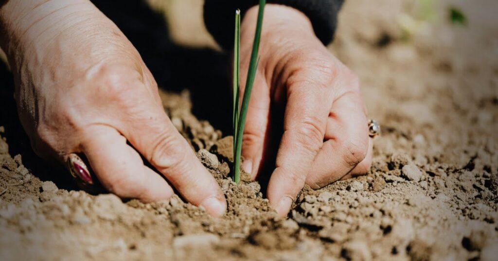 RSE en los productos