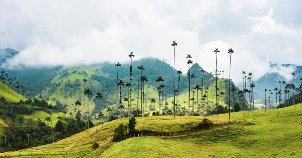 ecoturismo en Colombia