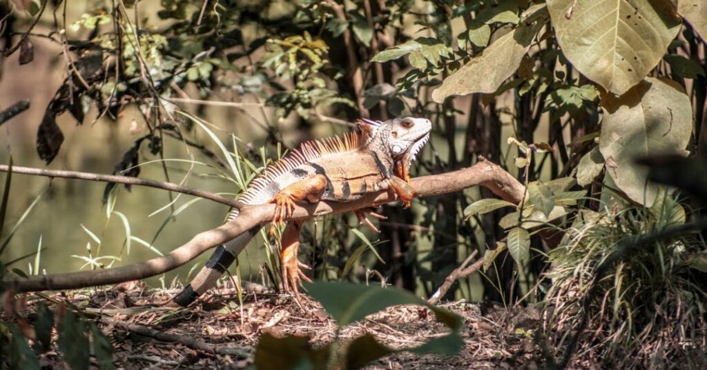 ecoturismo en Colombia
