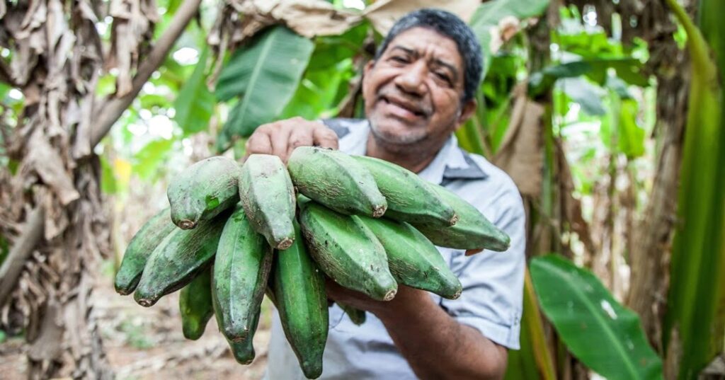 ecoturismo en Colombia