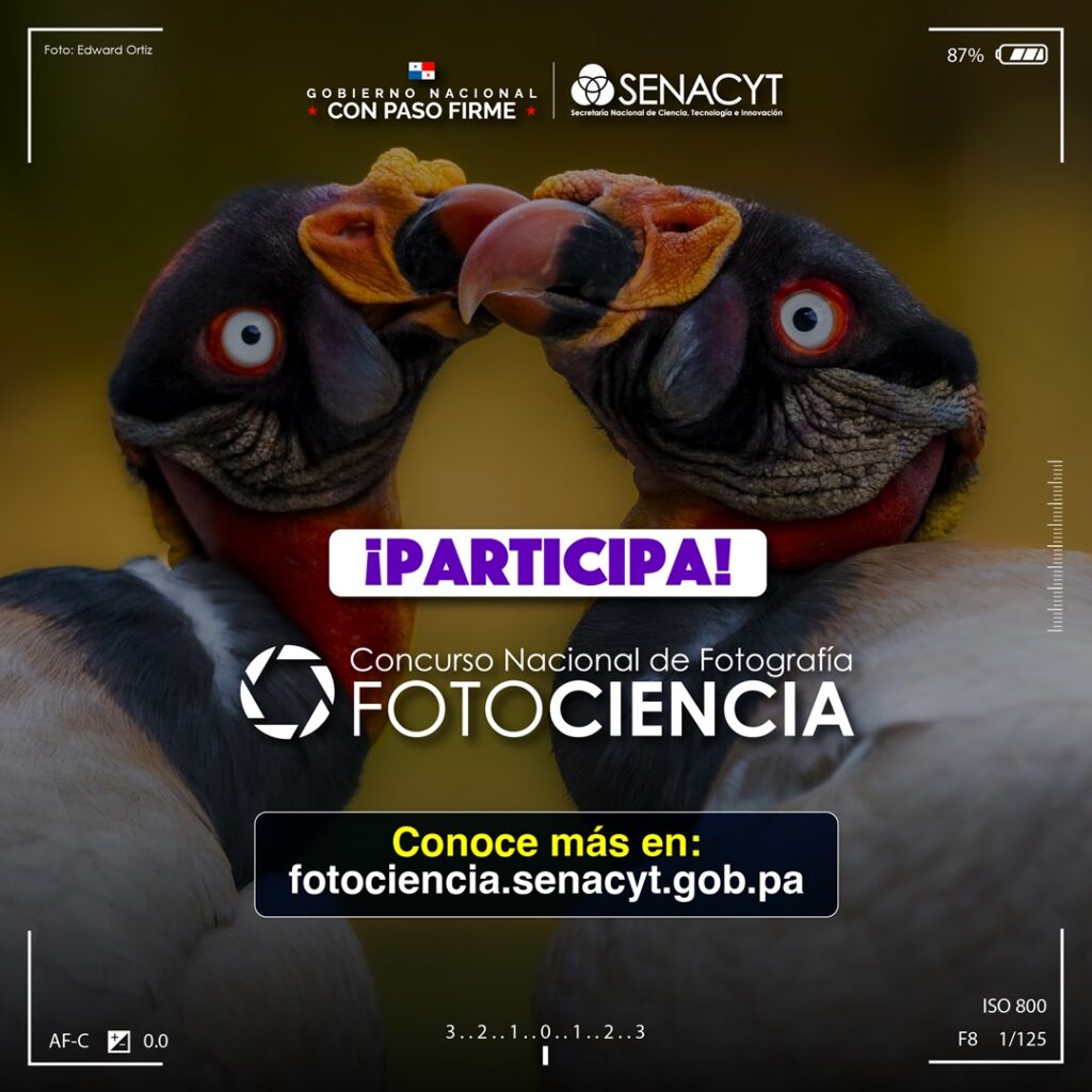 FotoCiencia 2024