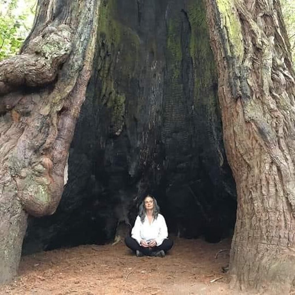 Julia Butterfly Hill