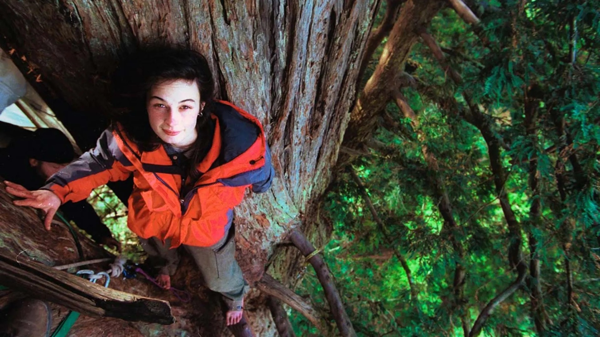 Julia Butterfly Hill