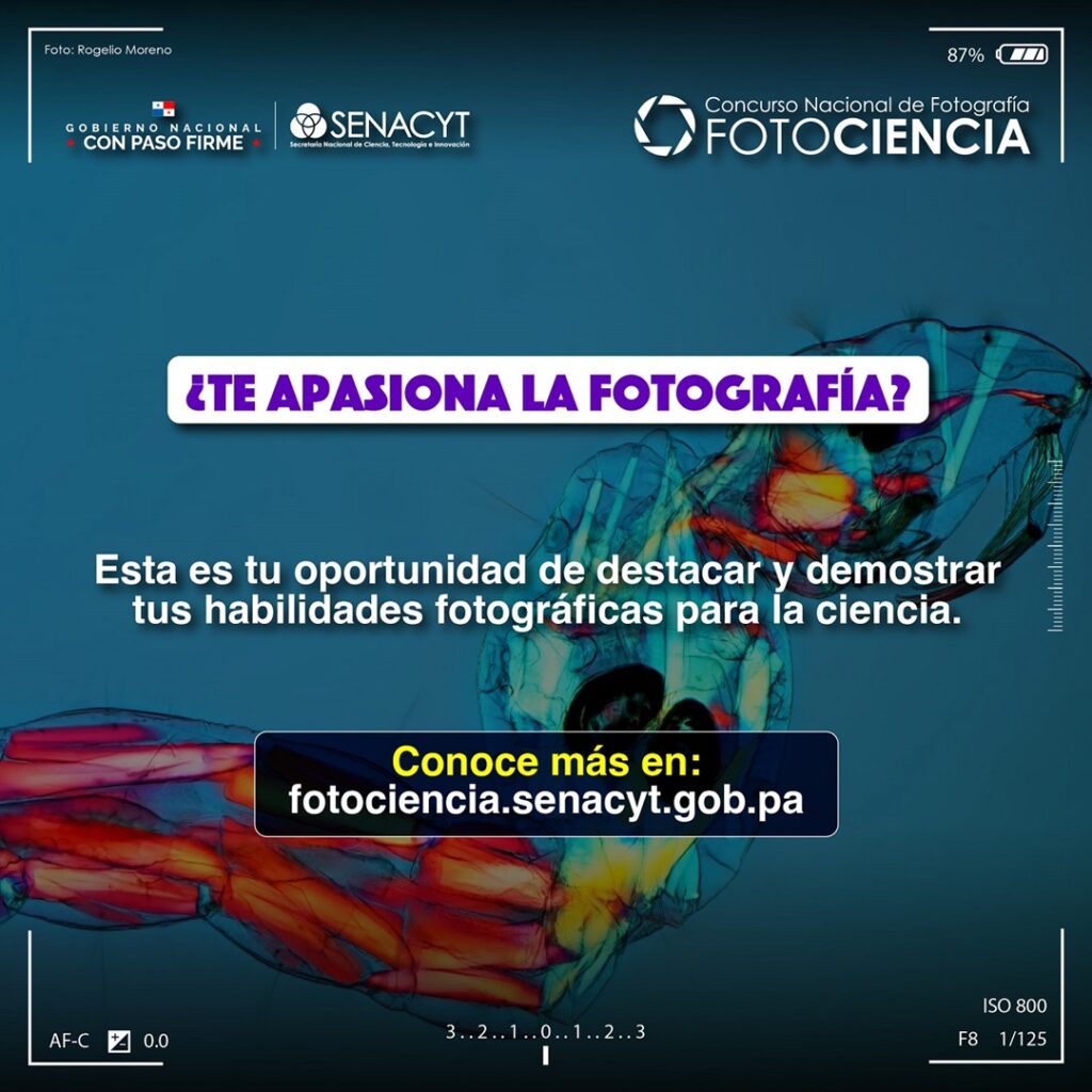FotoCiencia 2024
