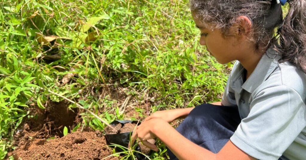restauración ambiental