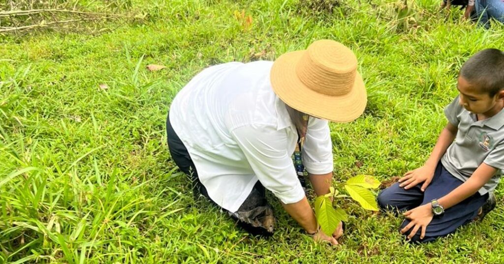 restauración ambiental