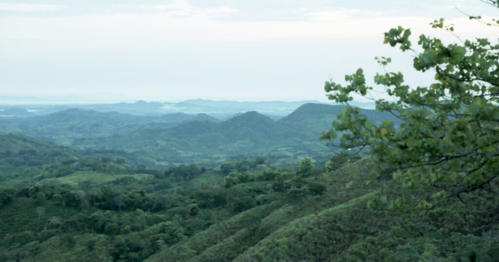 restauración ambiental