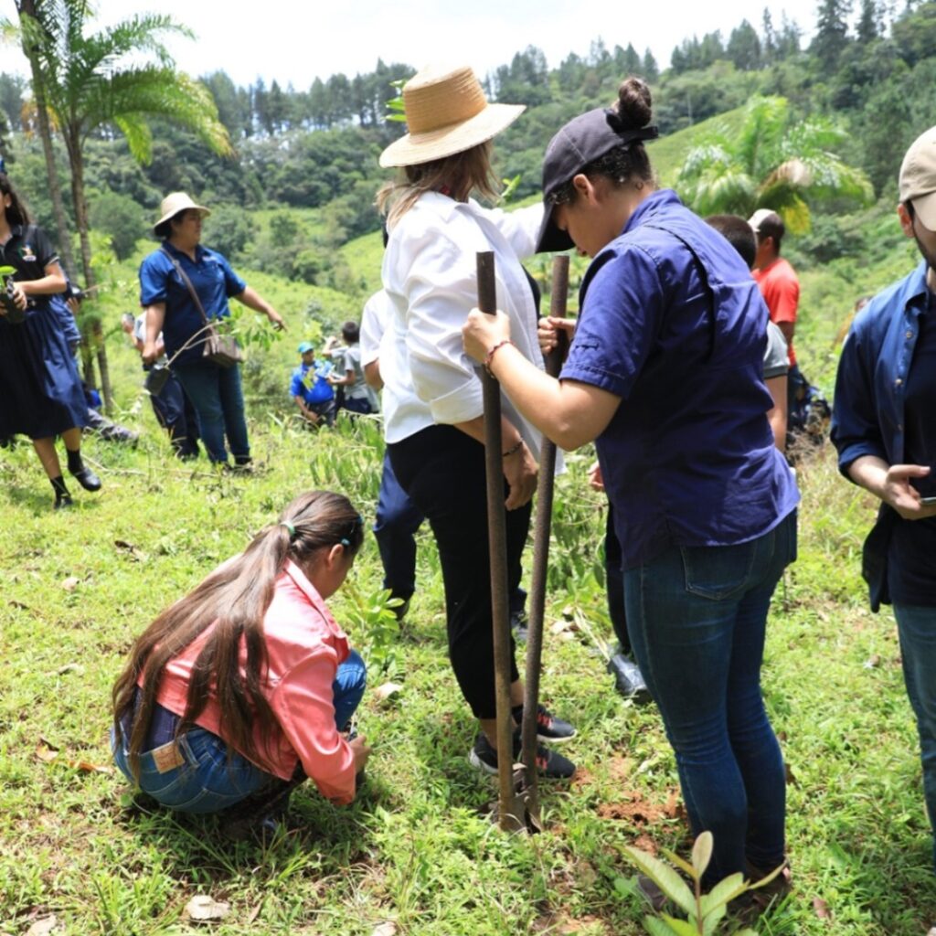 restauración ambiental