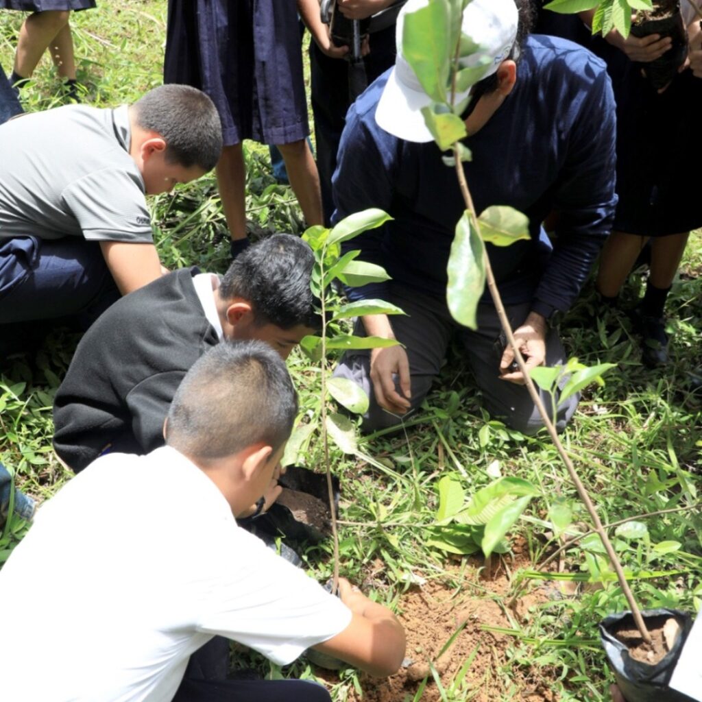 restauración ambiental