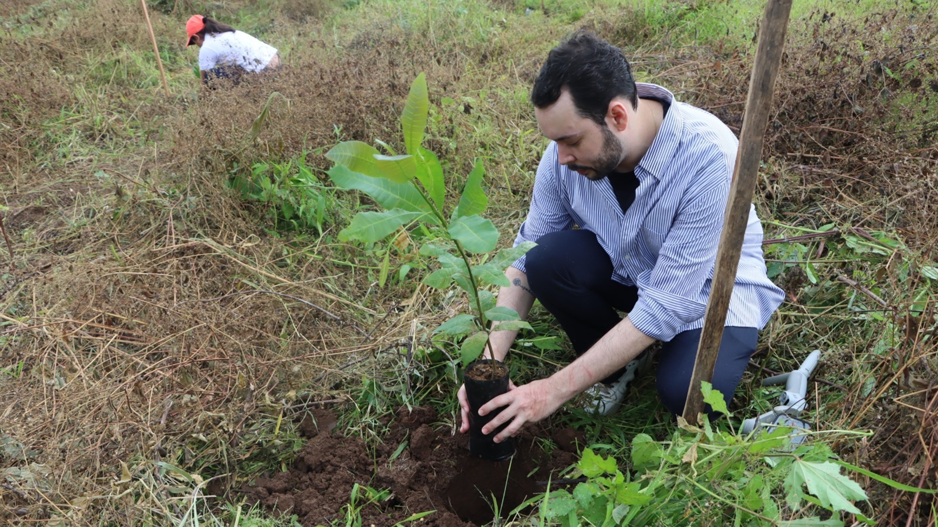 restauración ambiental