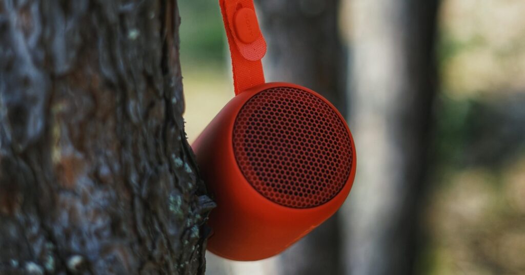 Animales en peligro de extinción