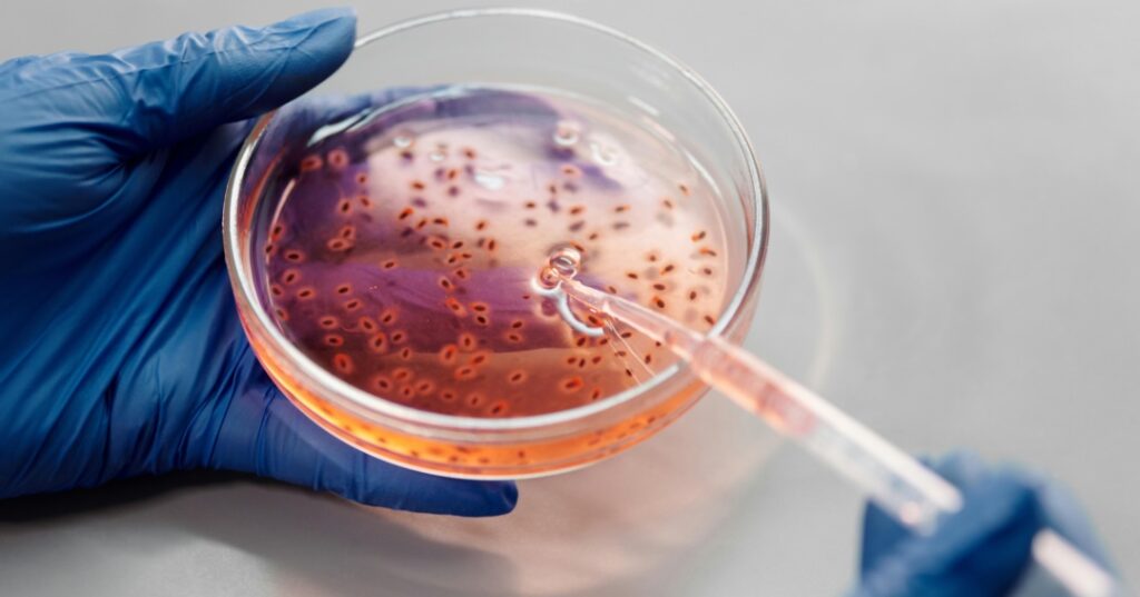 Bacterias modificadas genéticamente