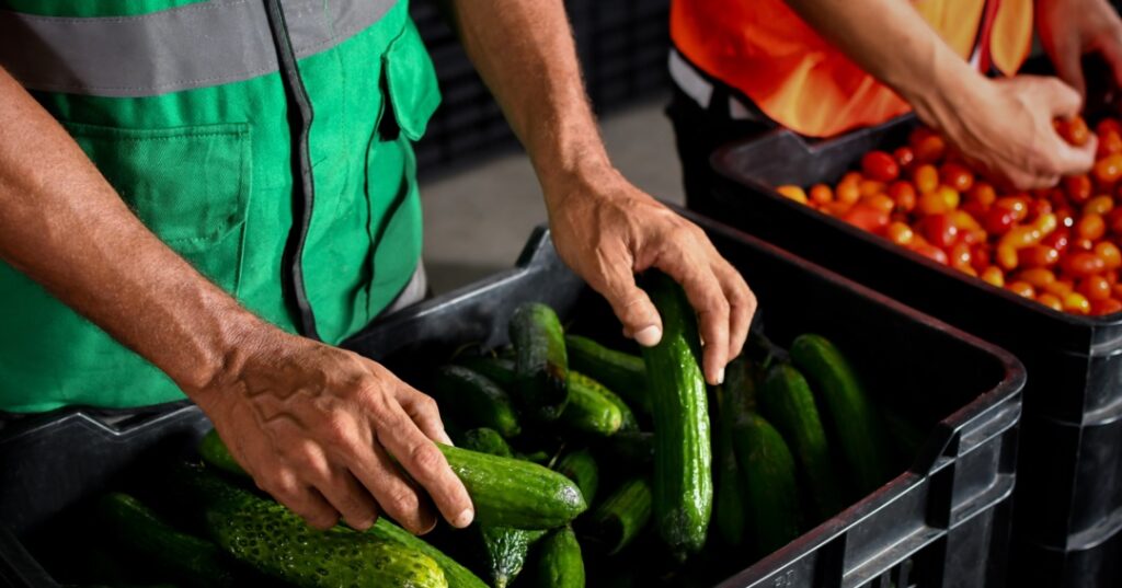 Donativos ambientales Ford