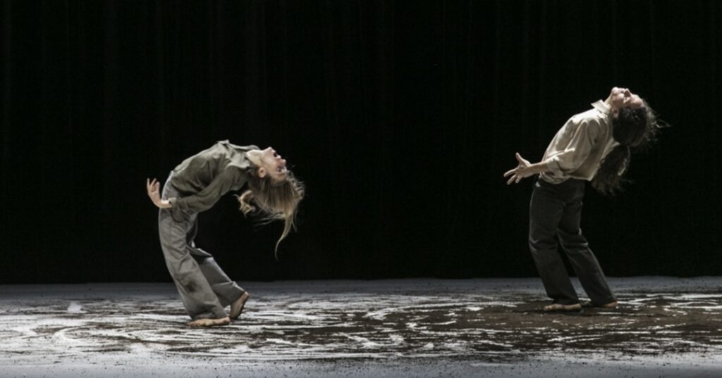 PRISMA - Festival Internacional