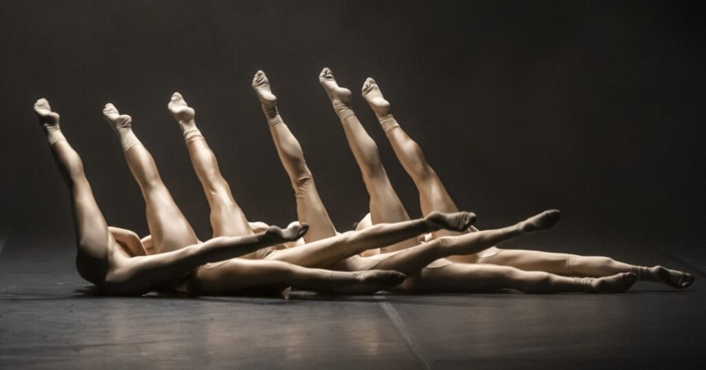 PRISMA - Festival Internacional