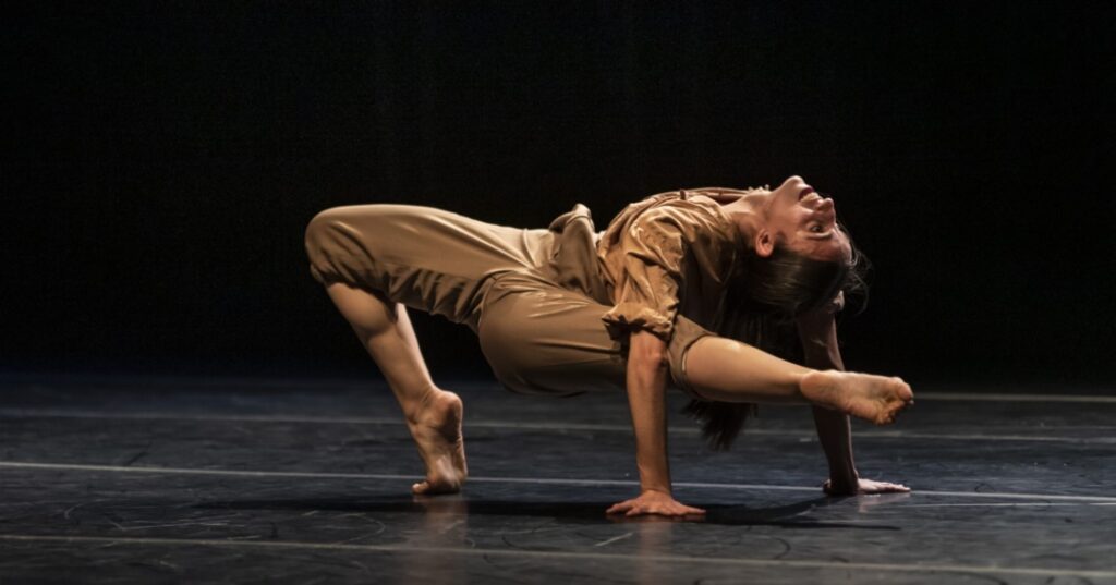 PRISMA - Festival Internacional