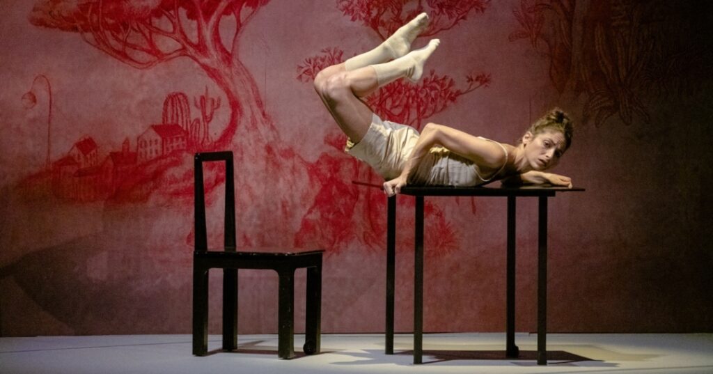 PRISMA - Festival Internacional