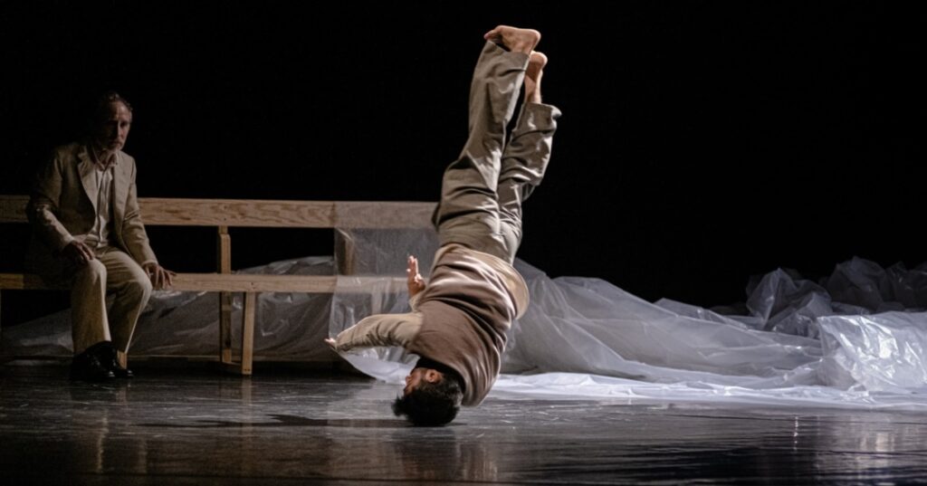 PRISMA - Festival Internacional