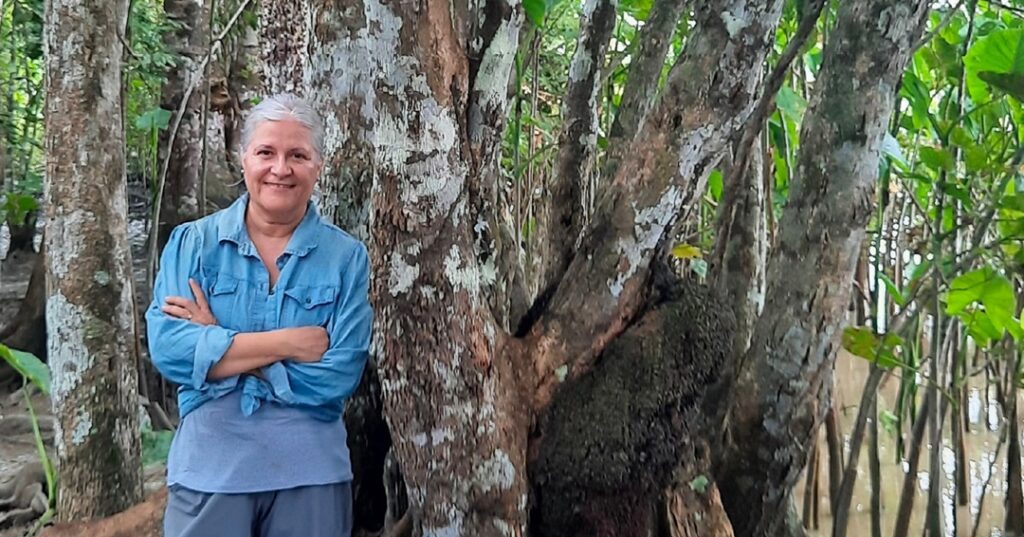 Pilares del Biomuseo