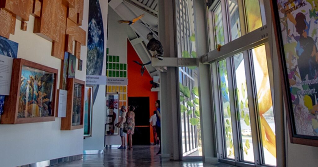 Pilares del Biomuseo