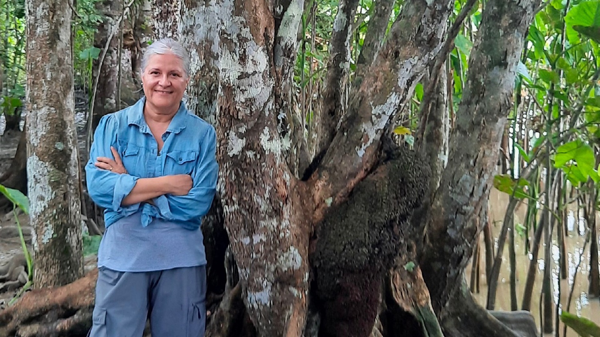 Pilares del Biomuseo