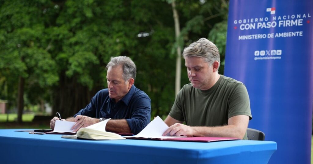 Restauración de manglares