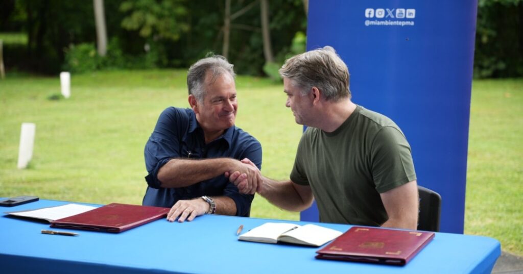 Restauración de manglares