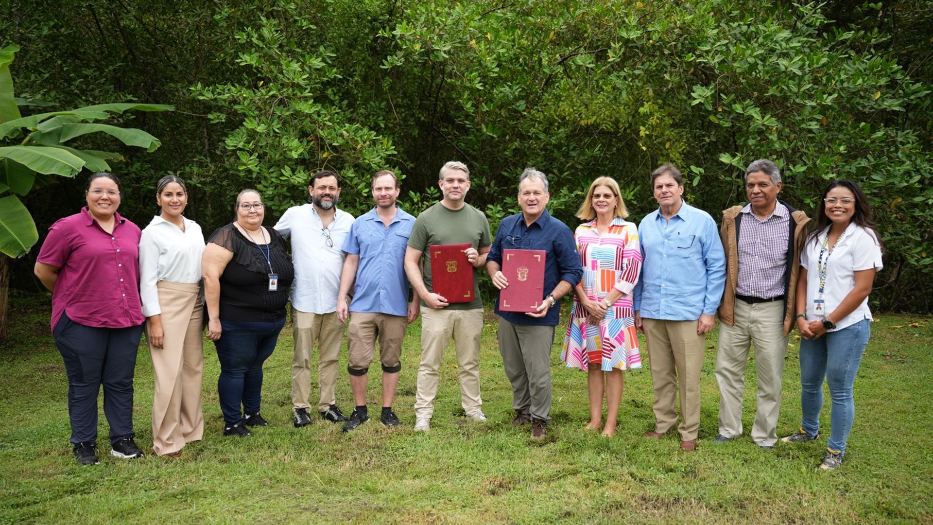 Restauración de manglares